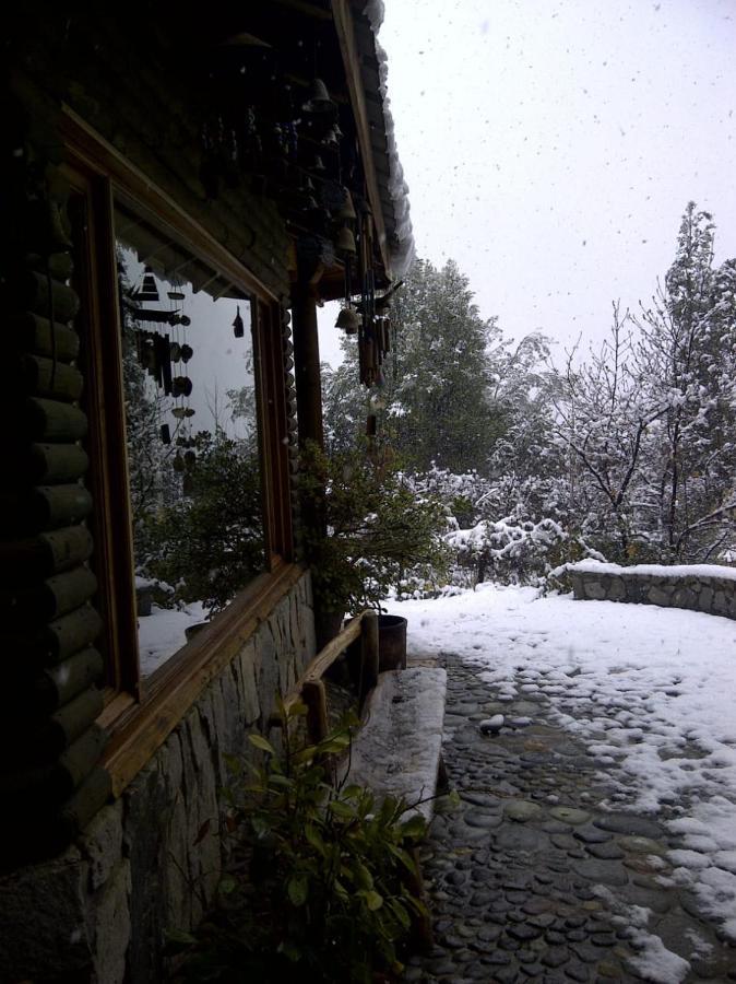 Casa De Montana Inmersa En Bosque Nativo San José de Maipo Buitenkant foto